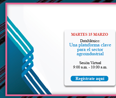 Evento virtual AmCham 15 de marzo